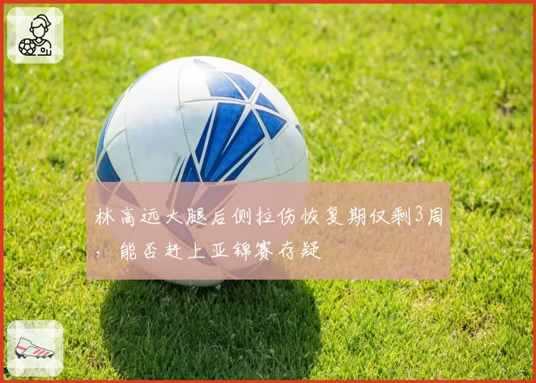 林高远大腿后侧拉伤恢复期仅剩3周，能否赶上亚锦赛存疑
