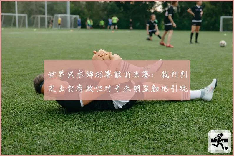 世界武术锦标赛散打决赛,裁判判定击打有效但对手未明显触地引观众哗然