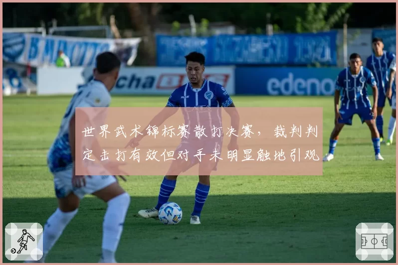 世界武术锦标赛散打决赛,裁判判定击打有效但对手未明显触地引观众哗然